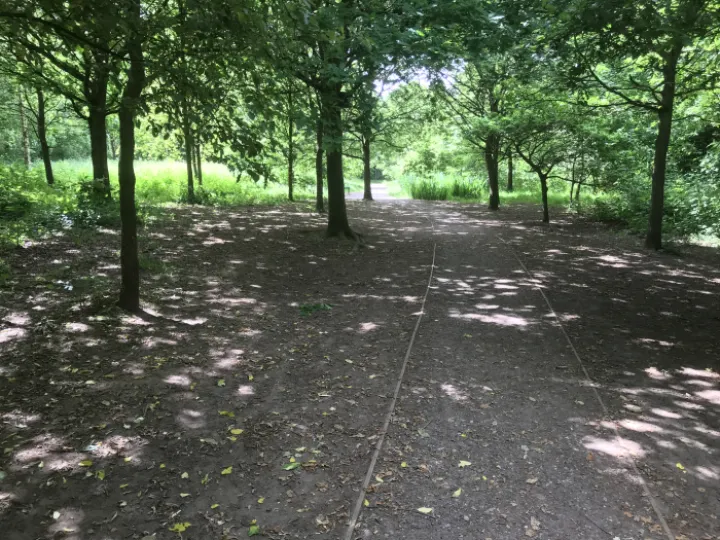 Tarvin Woodlands, Broomheath end