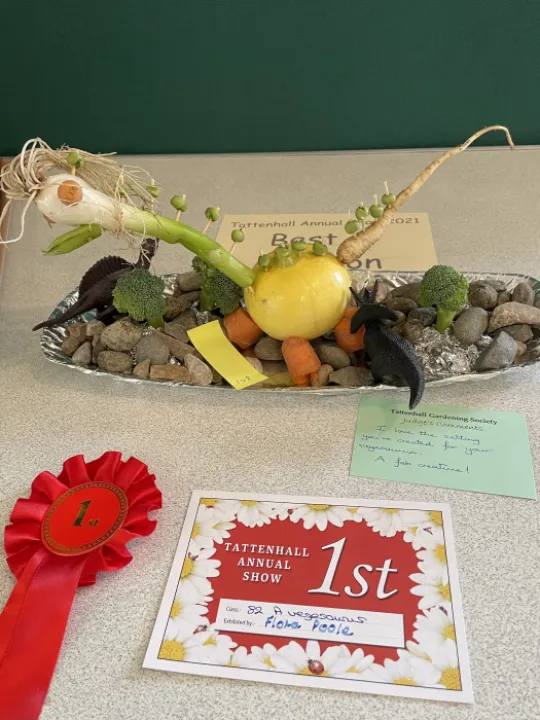 Image: 295F56CC-9295-4C1F-95E5-5E1A3C902C91