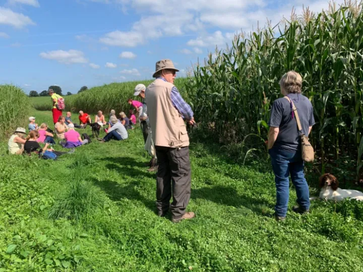 Image: 588DC843-9804-4426-A541-637397DC90A6