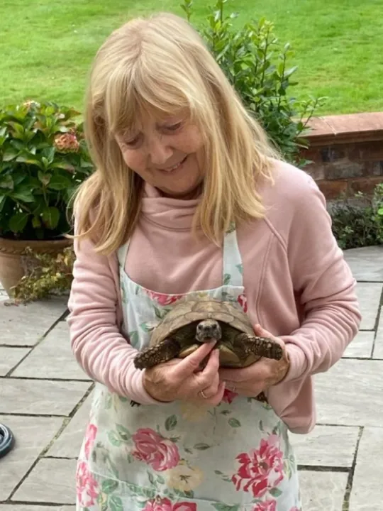 Image: 0199ff78-b6da-474b-bf52-485a63aff839