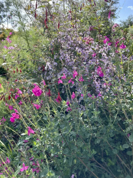 ABFC28D2-C031-4E5D-B632-5961D994F7A9