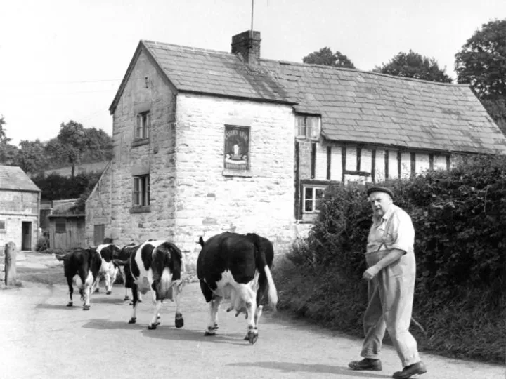 Pictorial History background image