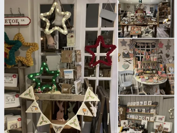 Ditzy Rose Christmas