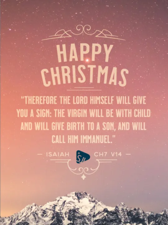 SJI ~christmas Greeting_Andy Frost_211209