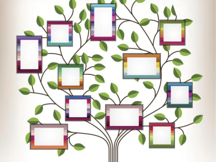 Family tree Clip art
