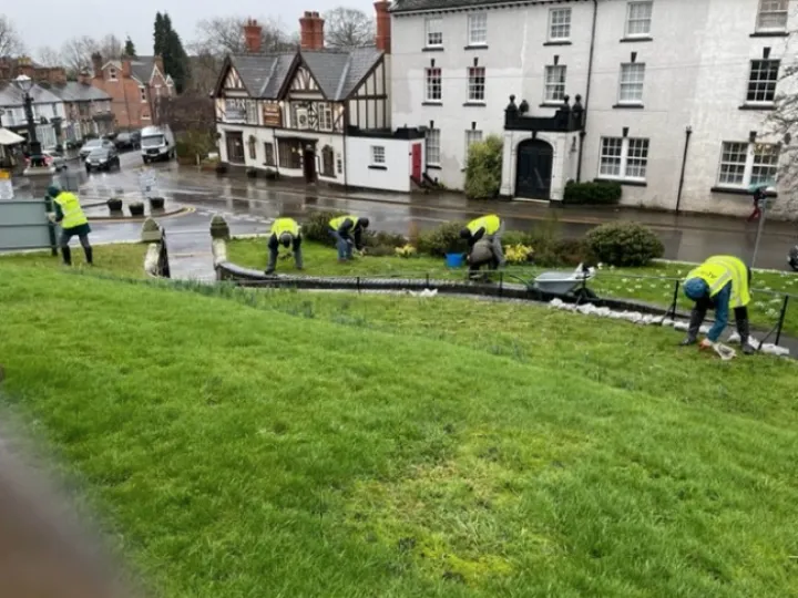 Adas Snowdropping 2022