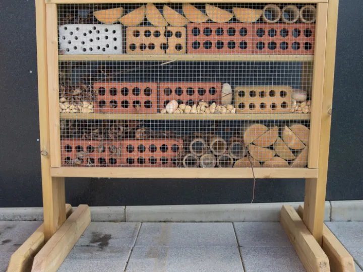 Bug Hotel 02