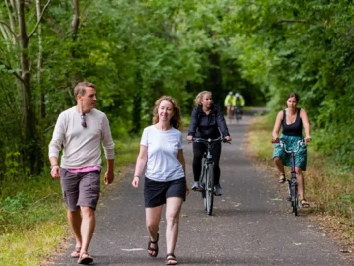 Safe Walking & Cycling