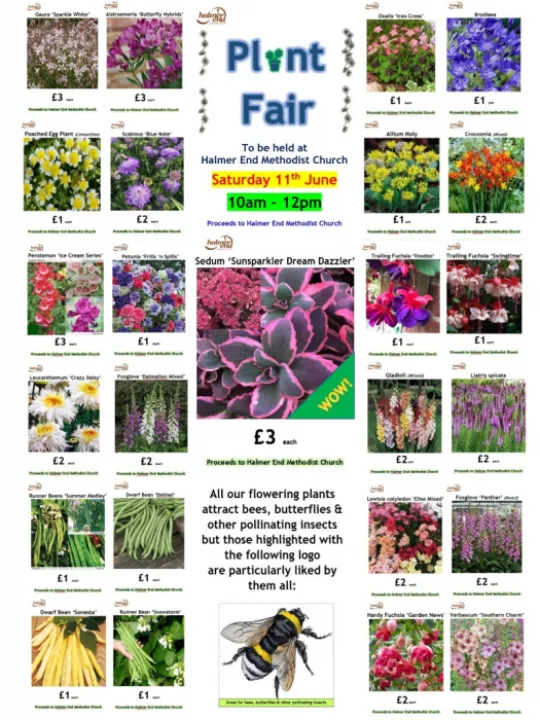 FB POS Collage 11th June