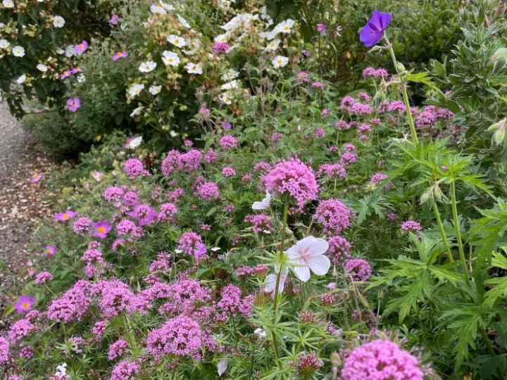 C8E5BCE8-2DB5-43FD-8DFD-A6CFE8F52CCD