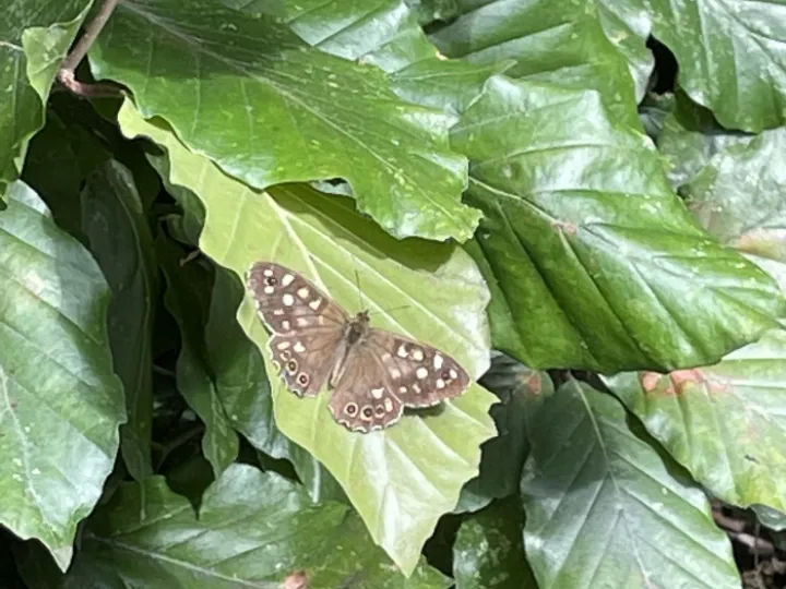 55305156-05D5-44E8-9A66-294805E422AB