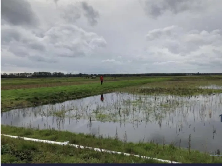 1B75D5FB-0291-49C7-BF40-B4A576639D25