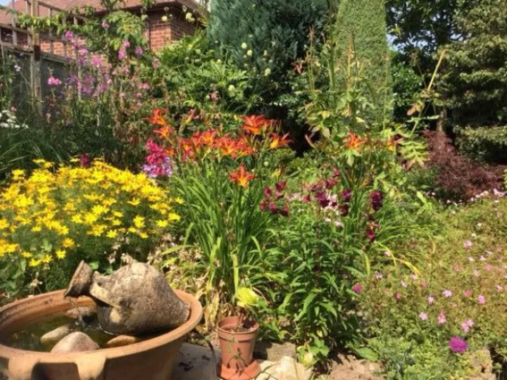 Lilies, Daisies, Crocosmia