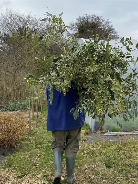 F3FEDBB1-E239-47CD-BEDF-9B1159D2F3A1