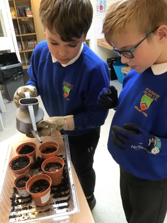 Watering seeds PSHE