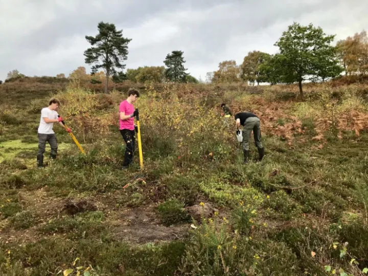 422cf30e-0a9c-42d4-9365-beead5617f4a