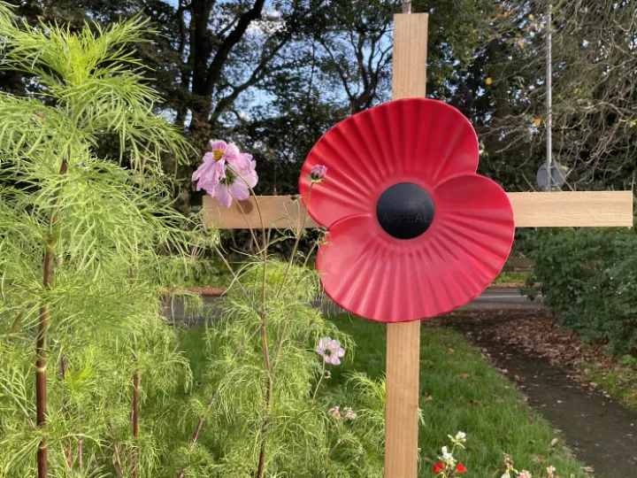 Poppy and cross