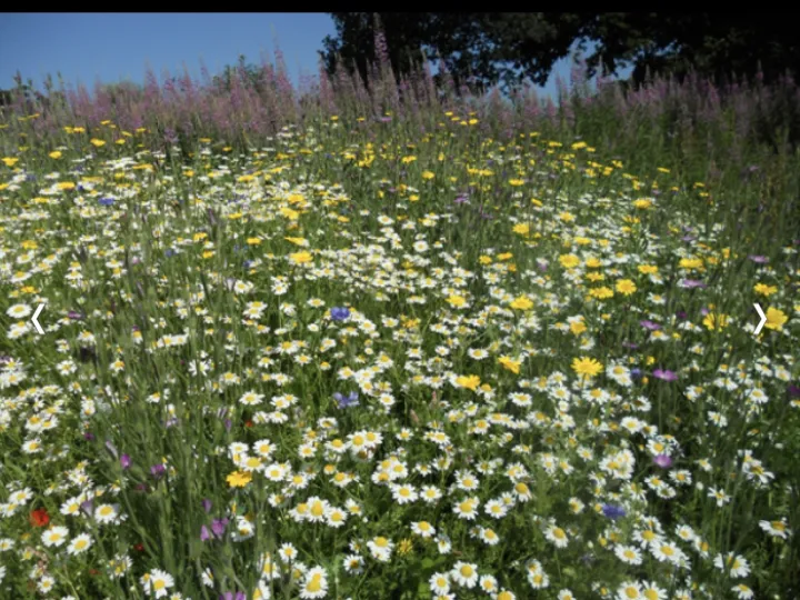 FC7DA603-20AA-4972-B8A6-F2782630F9D5