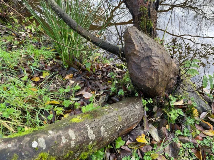 317470011_5731153643617392_3893049458398085725_n