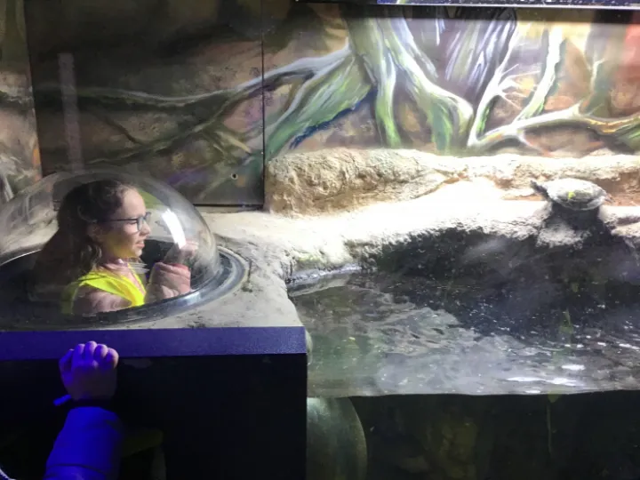 BD98F622-E15F-4667-BA61-44394147CA6B