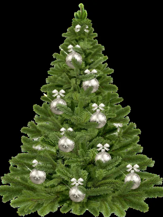 christmas-tree-1853582_960_720