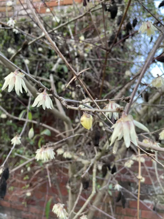 81458228-67B0-40D0-9E61-C0CA607988DB