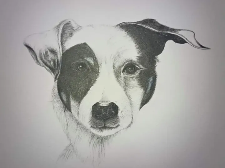 Screenshot_20230118_211047_facebook