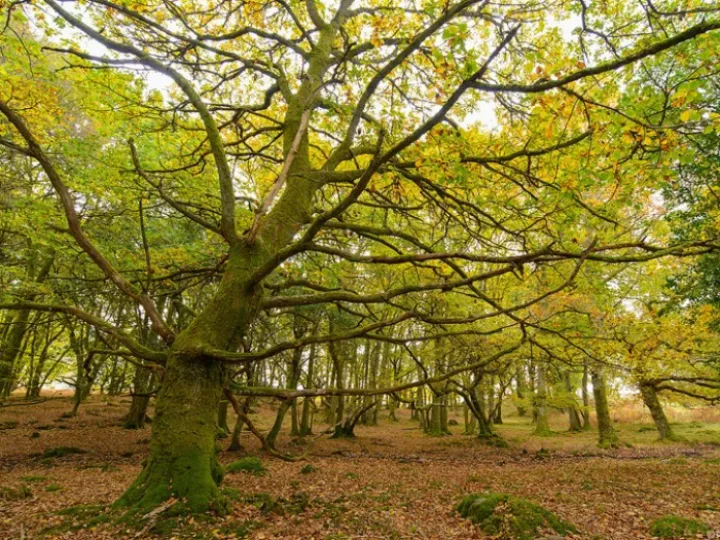 8c0fbbd4ffdb45c09d6699dec1e59210