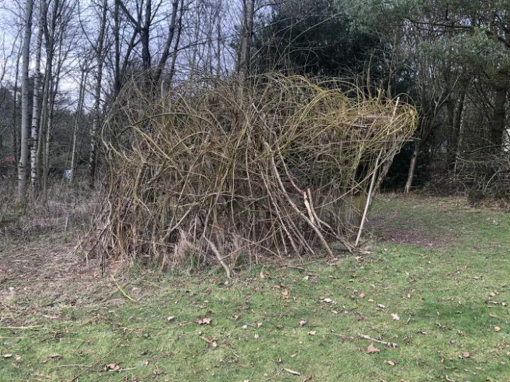 WillowHouseFeb23_JPEG