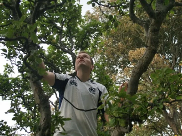 Community Orchard 02