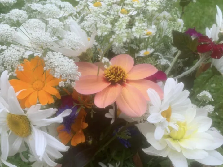 Bunch Flowers