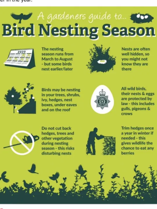 D4718B99-375C-4169-A59F-CFF062461AD6