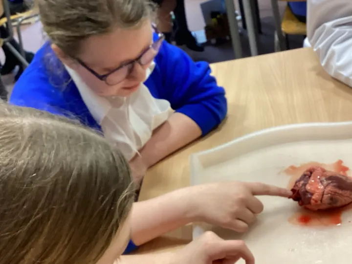 90E6BDDA-3349-44A1-9FBC-4E41CFEAAA92