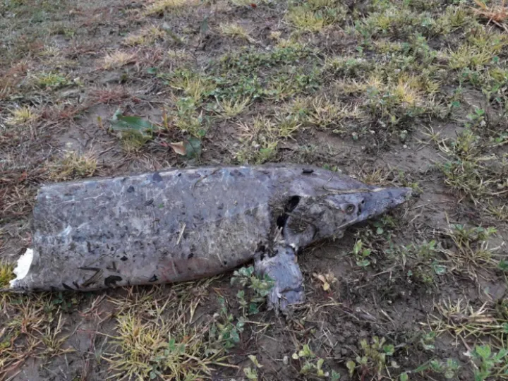 Photo 2023 04 20 20 36 23