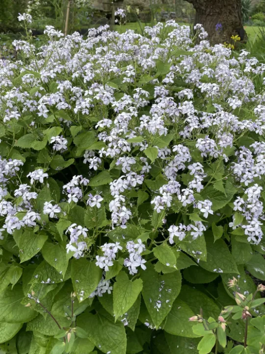 8323B291-5AD9-4A4E-B2E1-B2C5DF23DF57