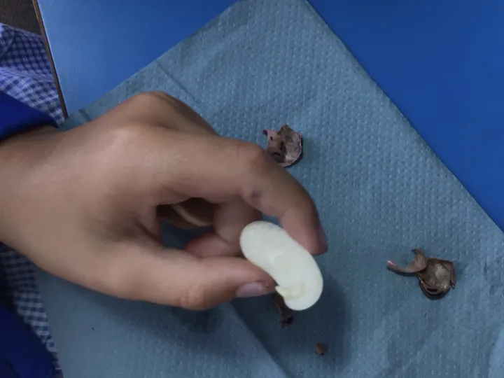 Screenshot 2023-06-11 at 08-18-55