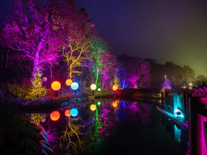 Bewilderwood Cheshire   Bewilderwood Presents Christmas