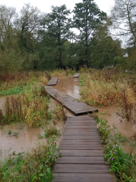 9a46c35c 25fb 46ca ab9a 12673ecd56fd_1_105_c