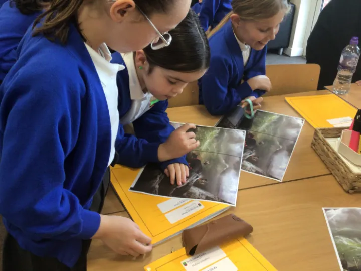 92CD005A-688E-49EB-8F94-1BF1326118D3