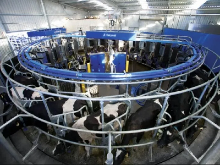 Robot Milking Parlour