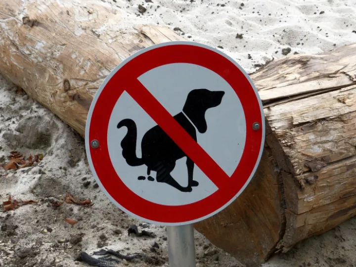 Prohibitory, sandpit, dog