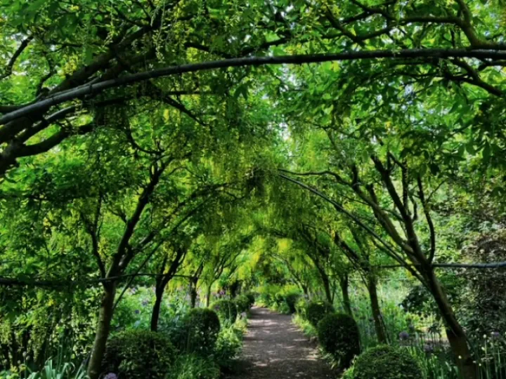 Dorthy Clive Gardens