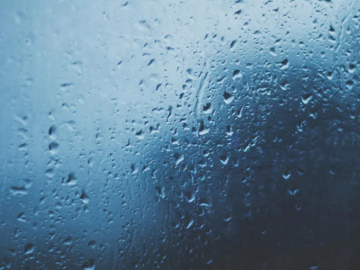 Macro Photography of Water Dew of Glass