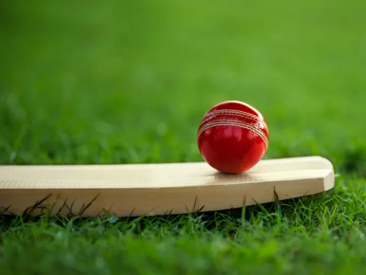 Cricket ball sitting on a cricket bat