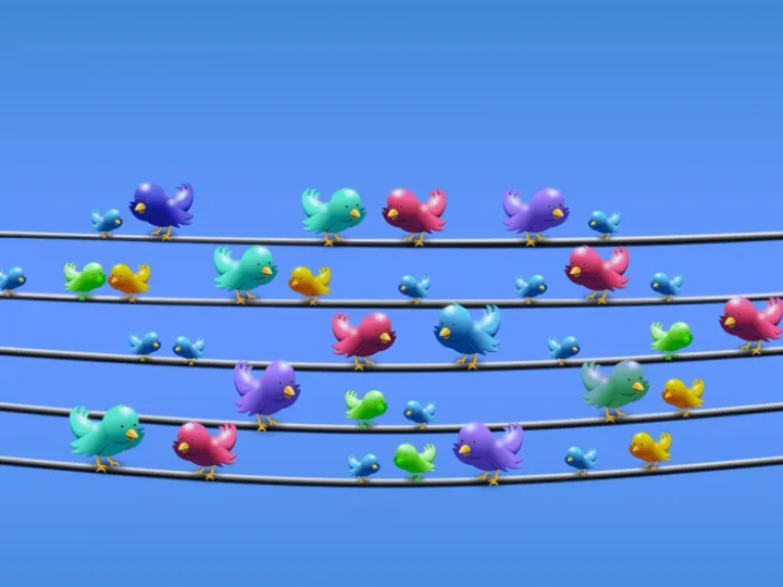 Twitter, management, power line