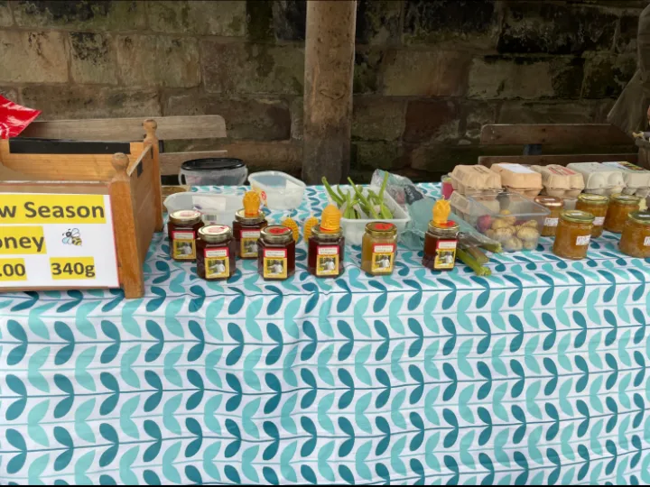 ADAPT Saturday Market 03/08/24