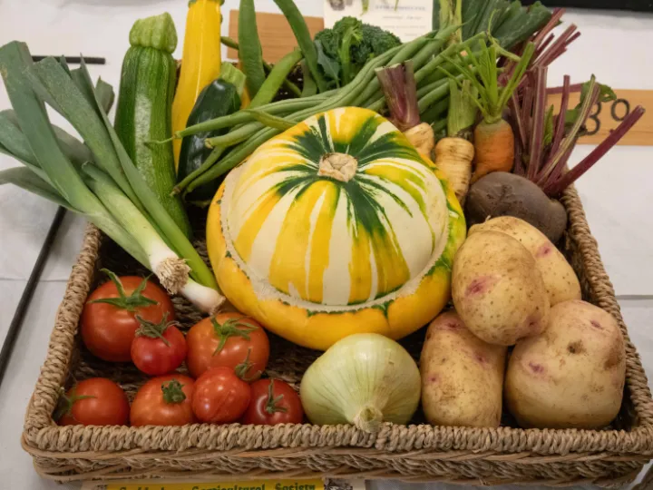 HORTICULTURAL SHOW 2024 / Lots of photographs here ...