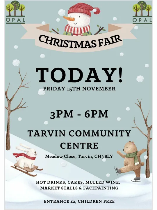 Opal Christmas Market Reminder 4x3