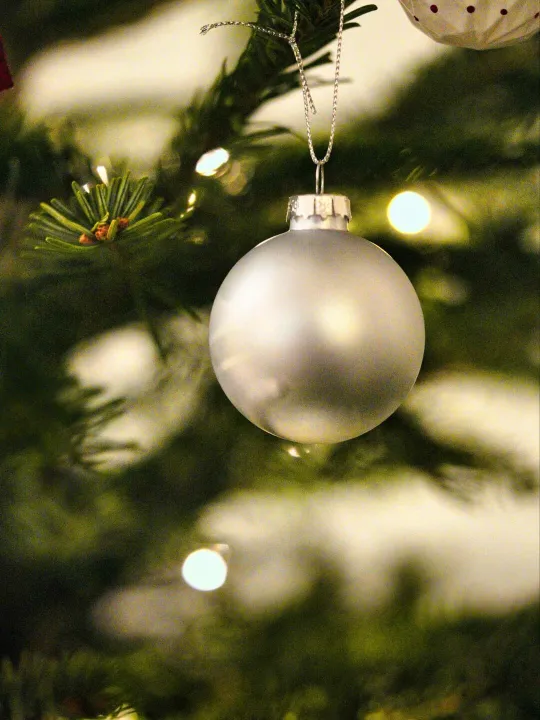 Silver bauble (resized)