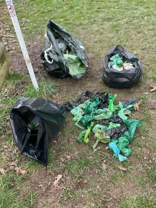 Dog Poo Jubilee Wood